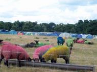 Latitude2009_SetC-TavisR-g_More-Alien-Sheep.jpg